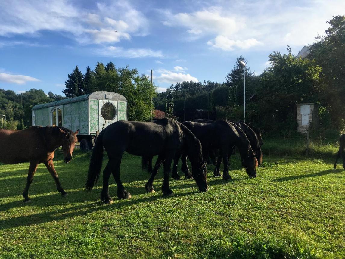 Glamping - Stylova Maringotka V Srdci Ladova Kraje, Pobliz Hlavniho Mesta Prahy Stribrna Skalice Zewnętrze zdjęcie
