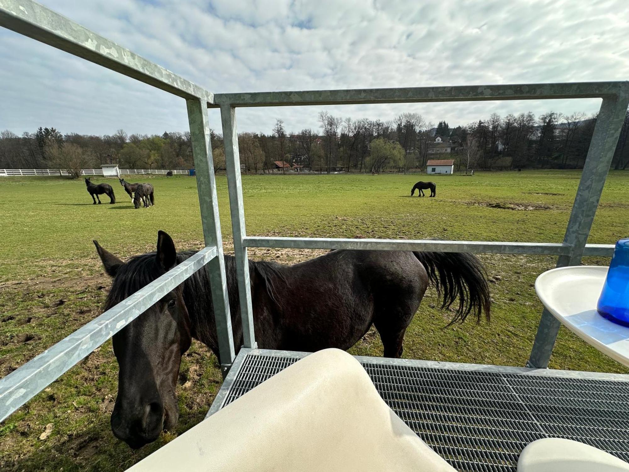 Glamping - Stylova Maringotka V Srdci Ladova Kraje, Pobliz Hlavniho Mesta Prahy Stribrna Skalice Zewnętrze zdjęcie